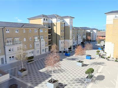 Picture 21